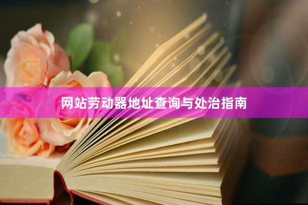 网站劳动器地址查询与处治指南
