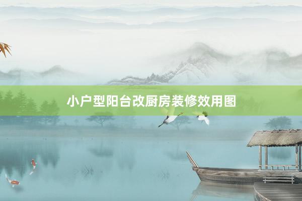 小户型阳台改厨房装修效用图