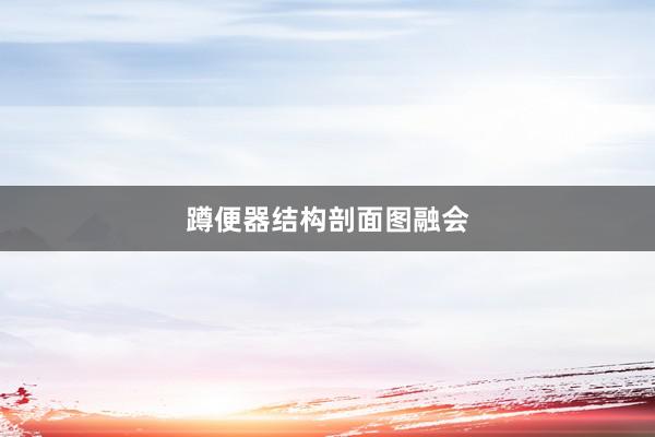 蹲便器结构剖面图融会